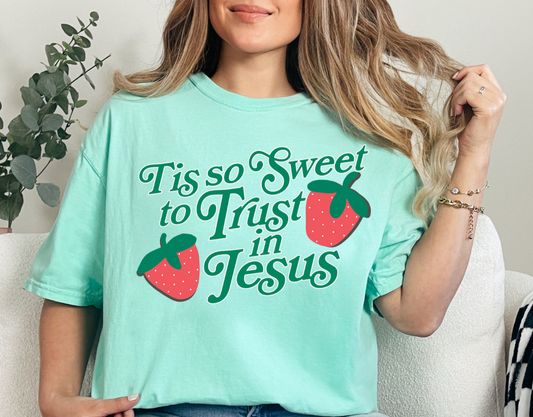 Christian Graphic Tee- Sweet Following Jesus